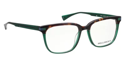 Bellinger House - Swift 238