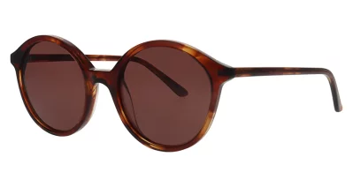 Inface Sun 9833 5525 havana brown med trans 50-19