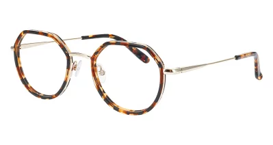 Nifties 8550 5424 48-19 tortoise dark demi