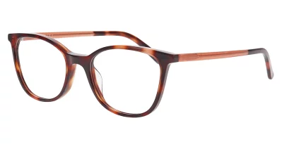 Nifties 9501 5424 49-17 tortoise medium demi (SO)