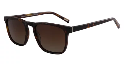 BB Pol Umberto Demi Brown Pol 54-19-145 6B A