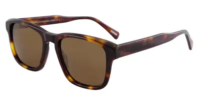 BB Pol Filius Demi Brown Pol 54-20-145 A