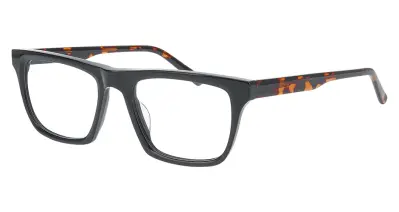 Nifties 9552 6032 49-17