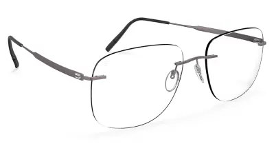 5603|NL 6560 57-19 150 The Timless Visionary